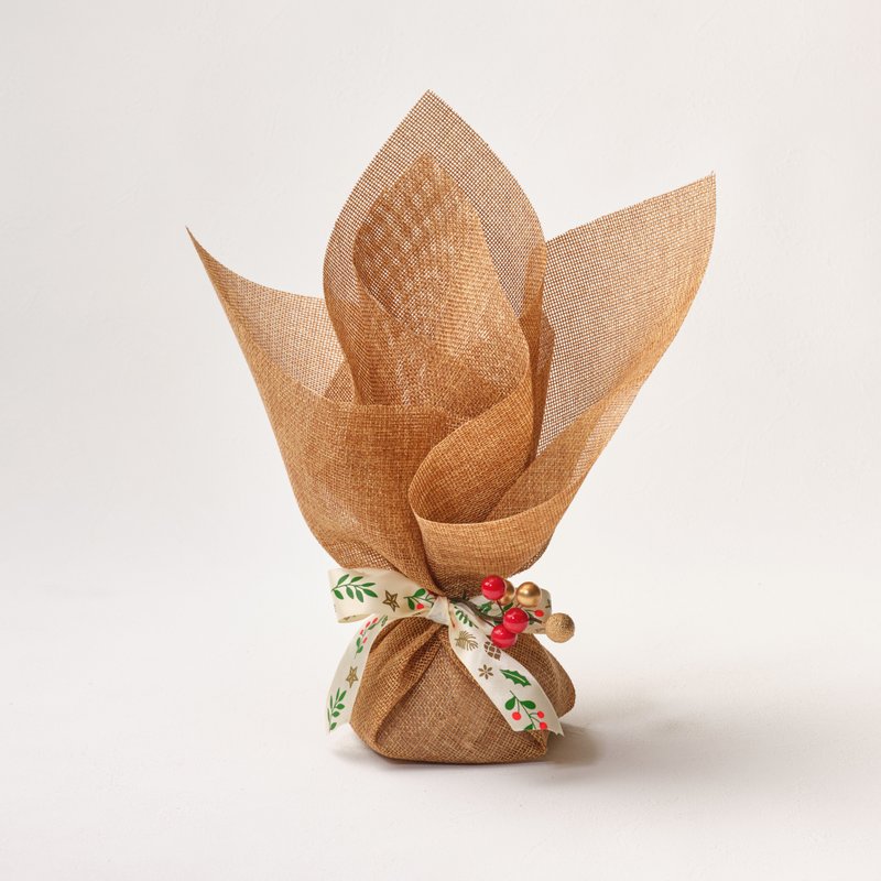 Luxury Christmas Pudding