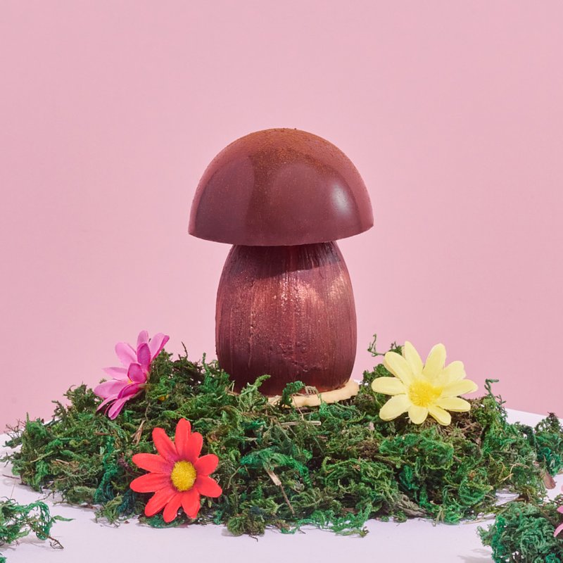 Cocoa Mushroom