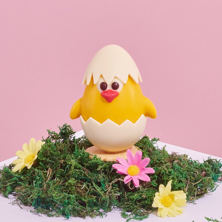 Baby Chick in Crack Egg